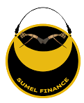 sumelfinance.com